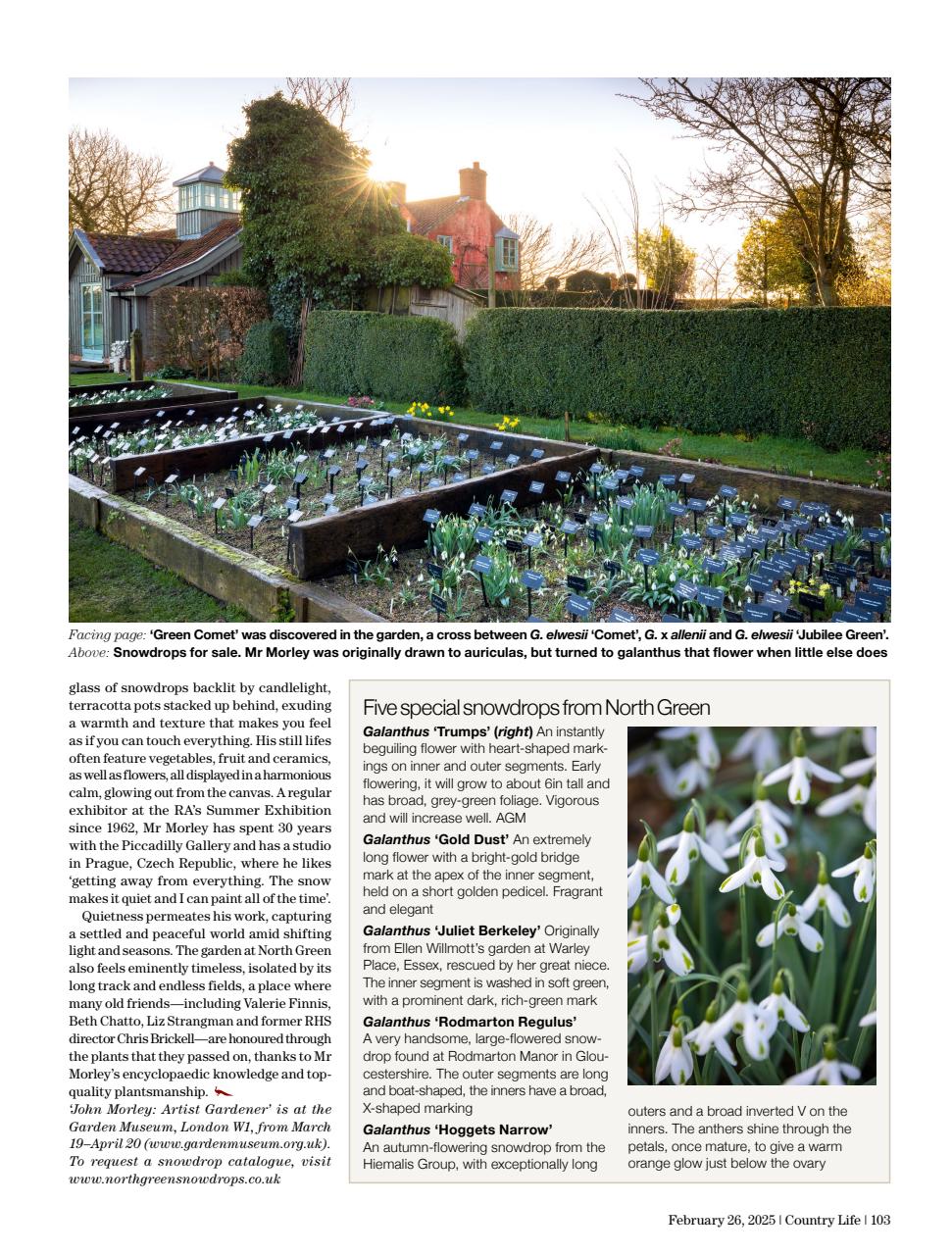Country Life Preview Pages
