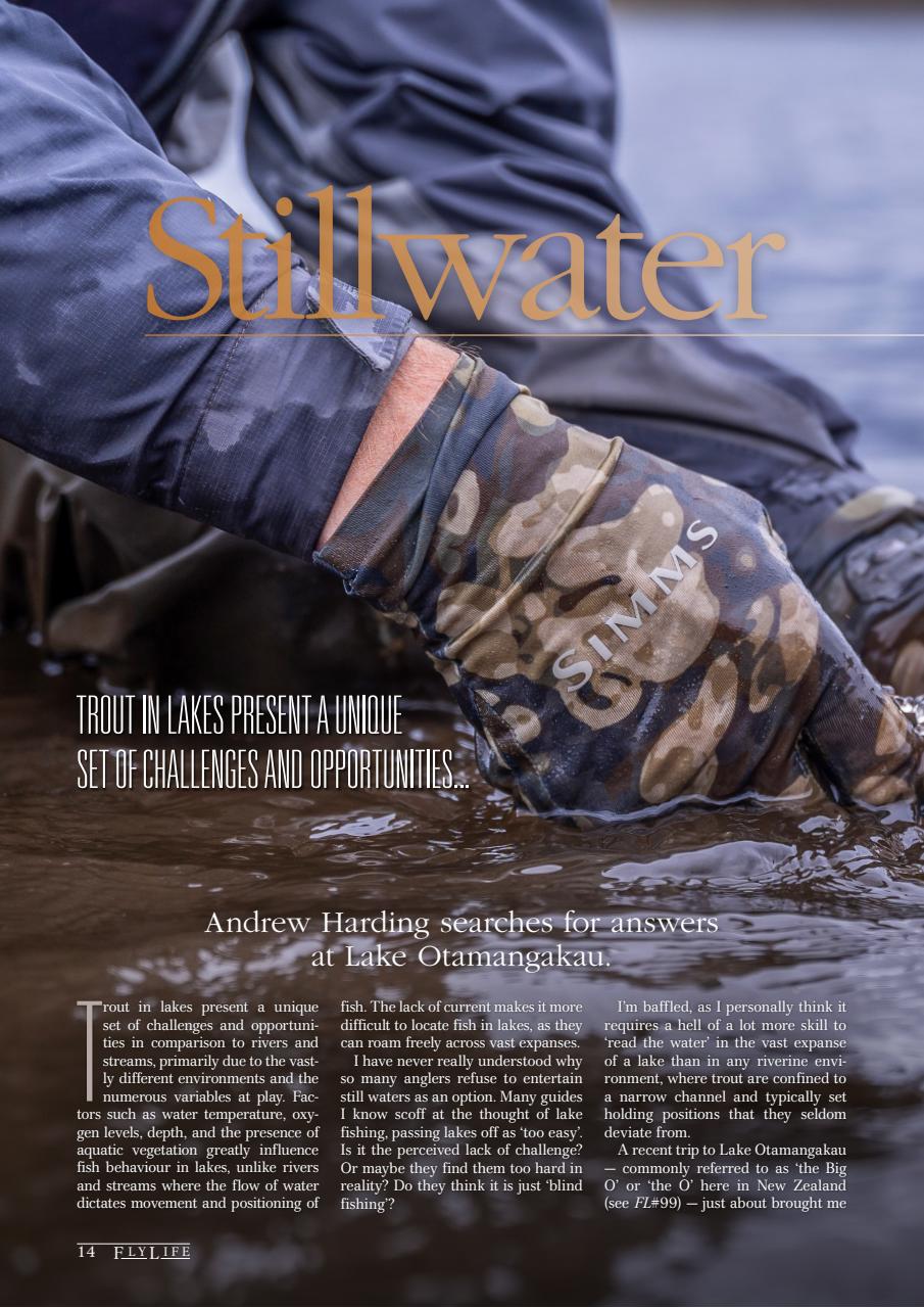 FlyLife Preview Pages