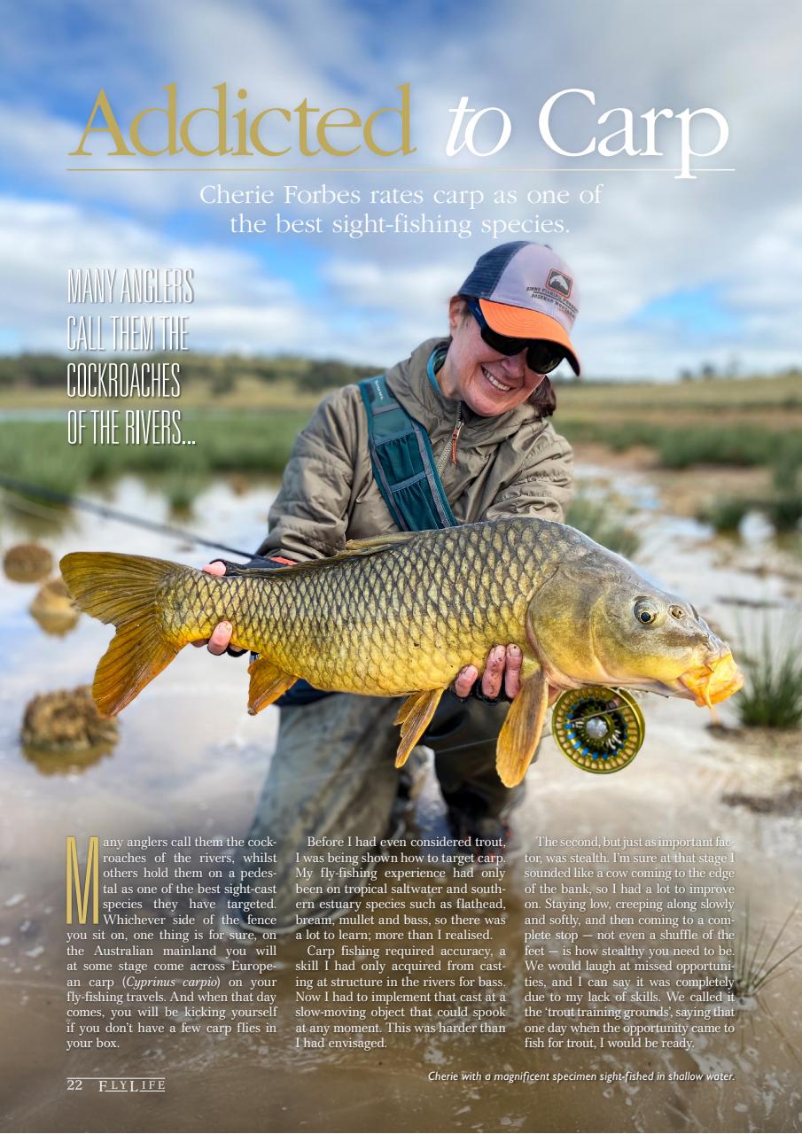 FlyLife Preview Pages