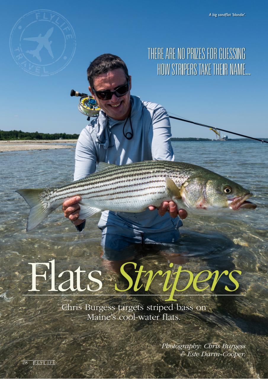 FlyLife Preview Pages