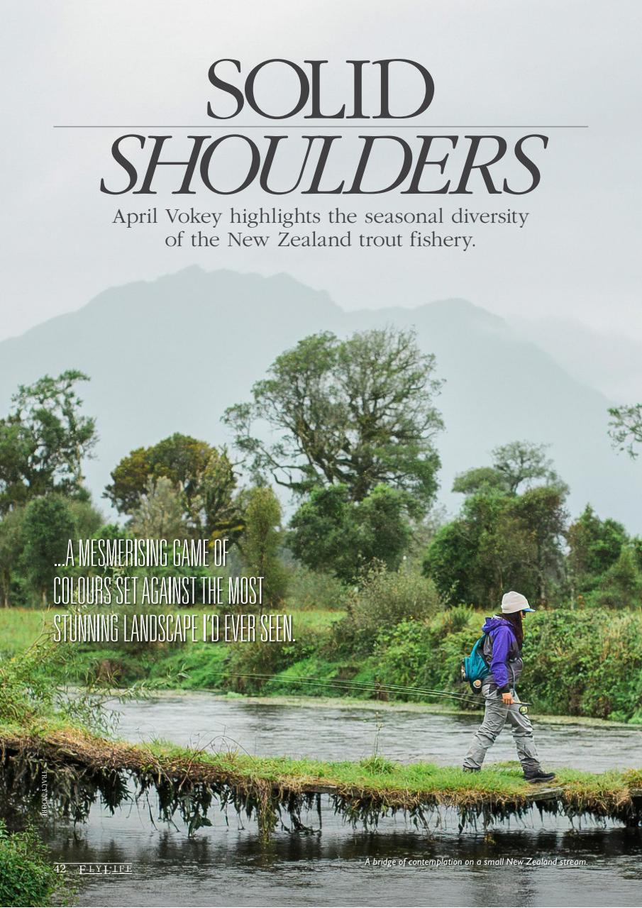 FlyLife Preview Pages