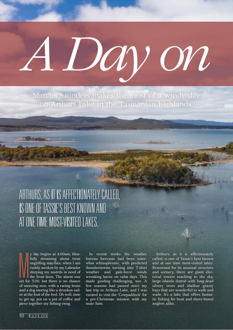 FlyLife Preview Pages