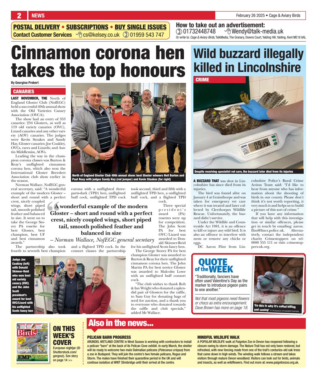 Cage & Aviary Birds Preview Pages