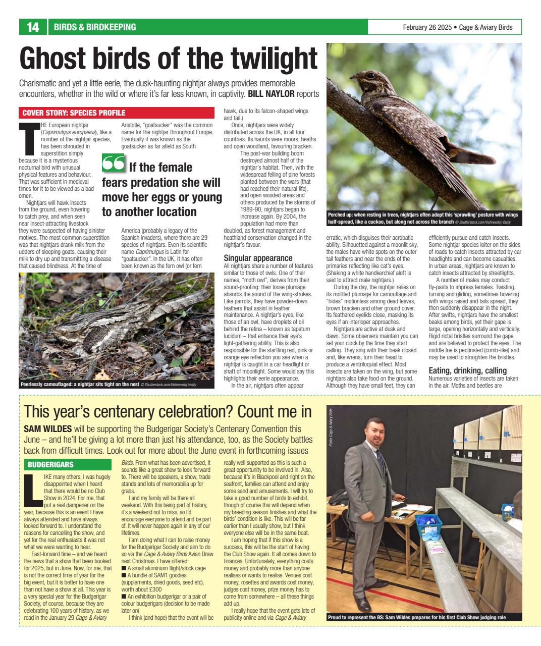 Cage & Aviary Birds Preview Pages