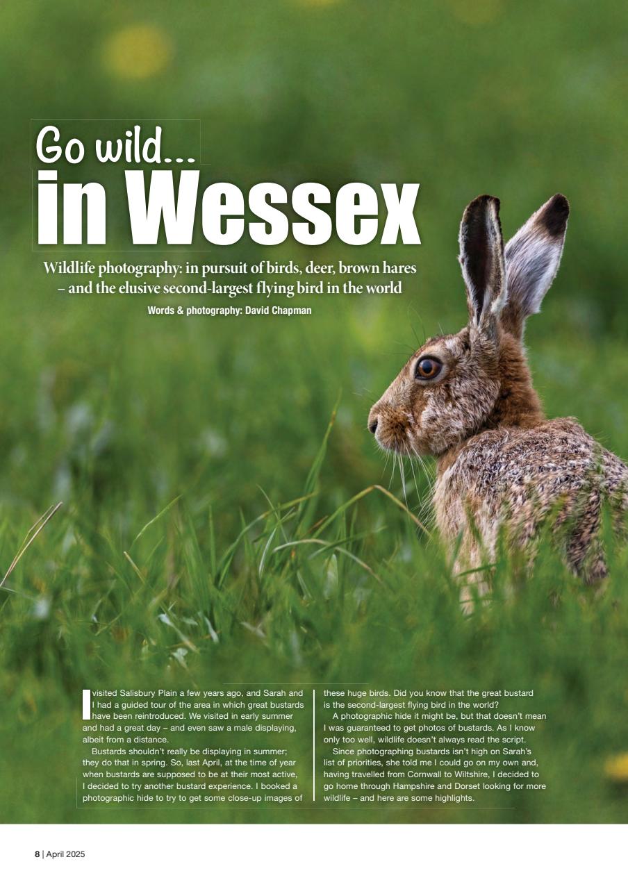 Caravan Magazine Preview Pages