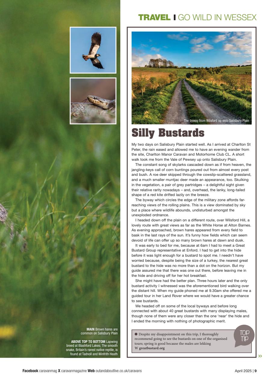 Caravan Magazine Preview Pages