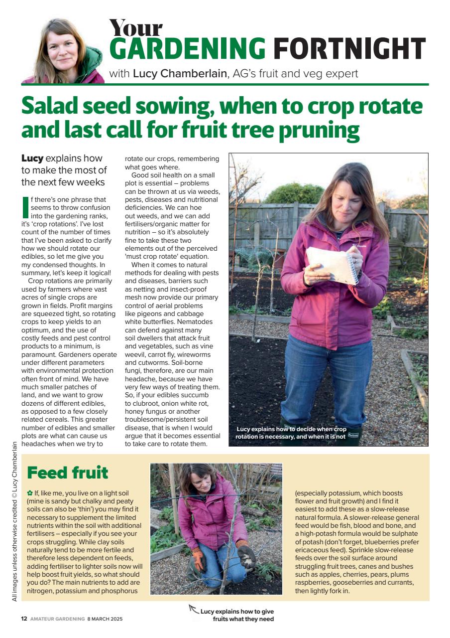 Amateur Gardening Preview Pages