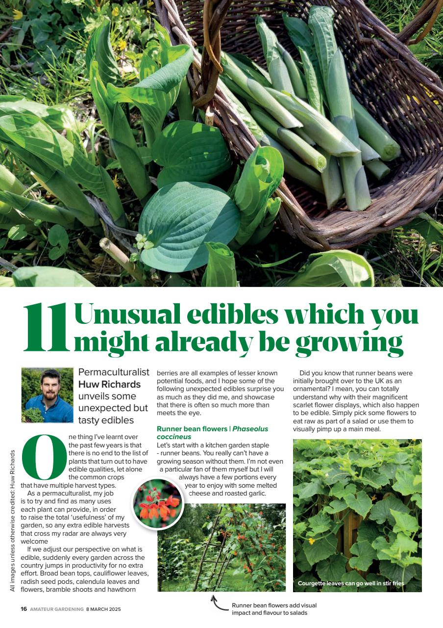 Amateur Gardening Preview Pages