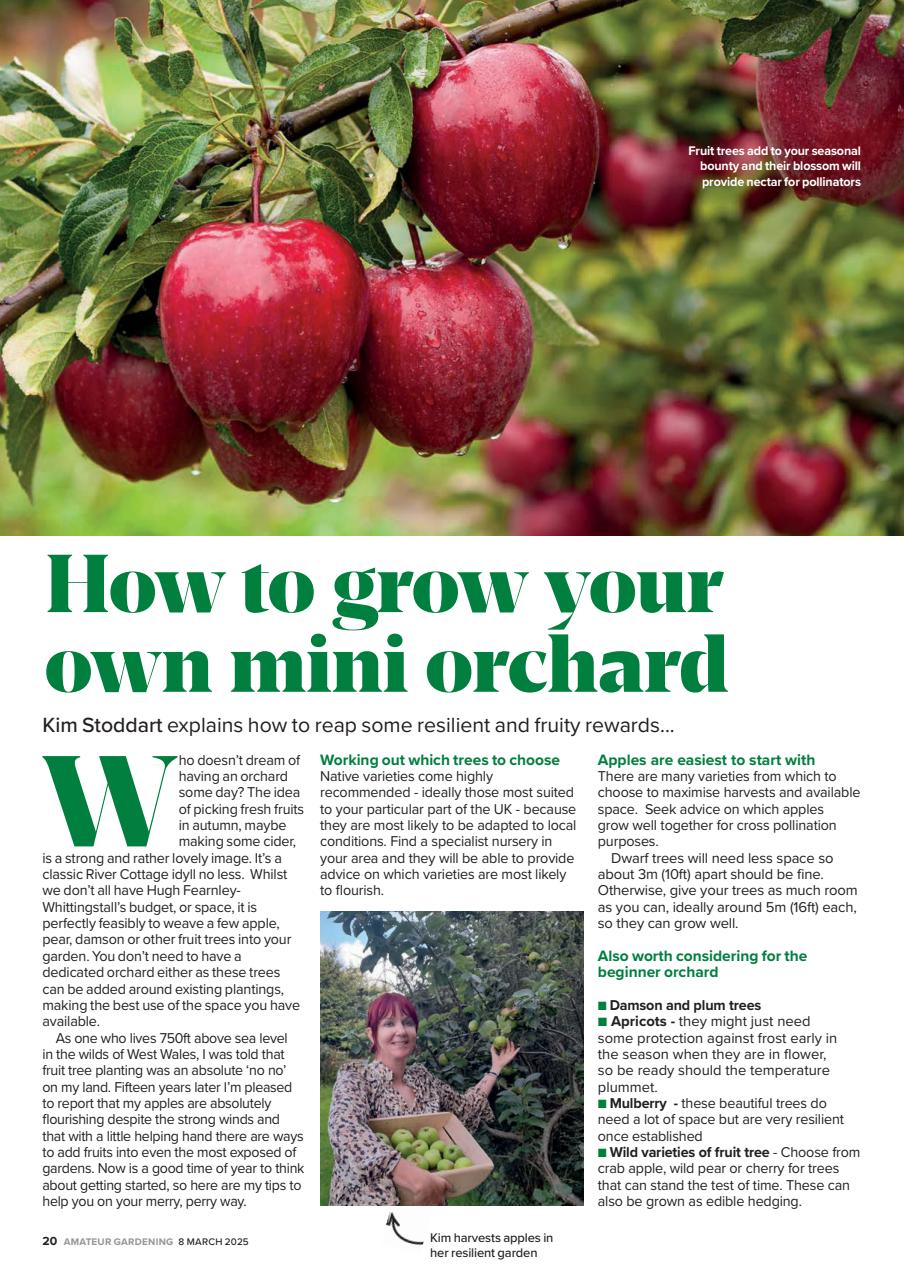Amateur Gardening Preview Pages