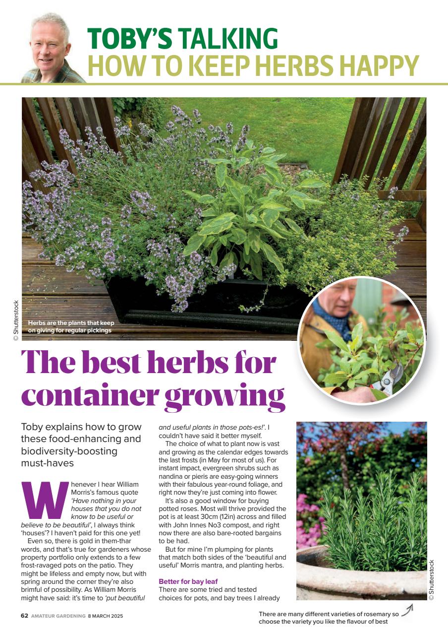 Amateur Gardening Preview Pages