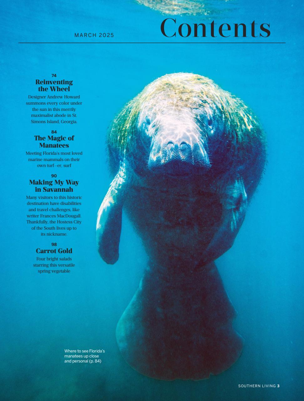 Southern Living Preview Pages