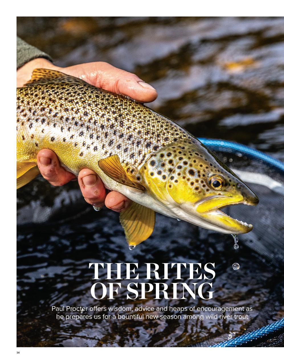 Trout & Salmon Preview Pages