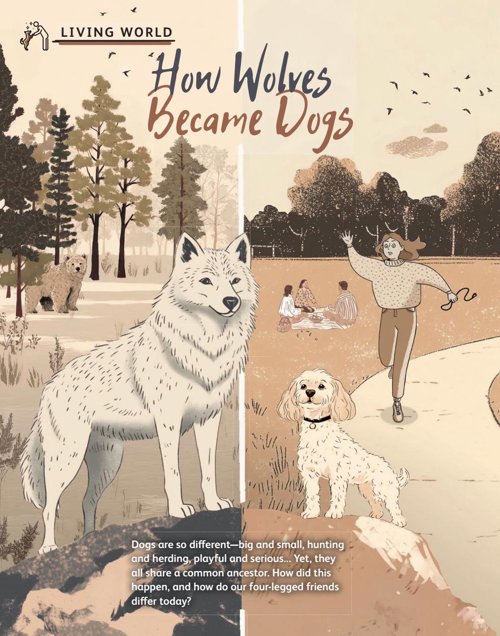 OYLA Magazine Preview Pages