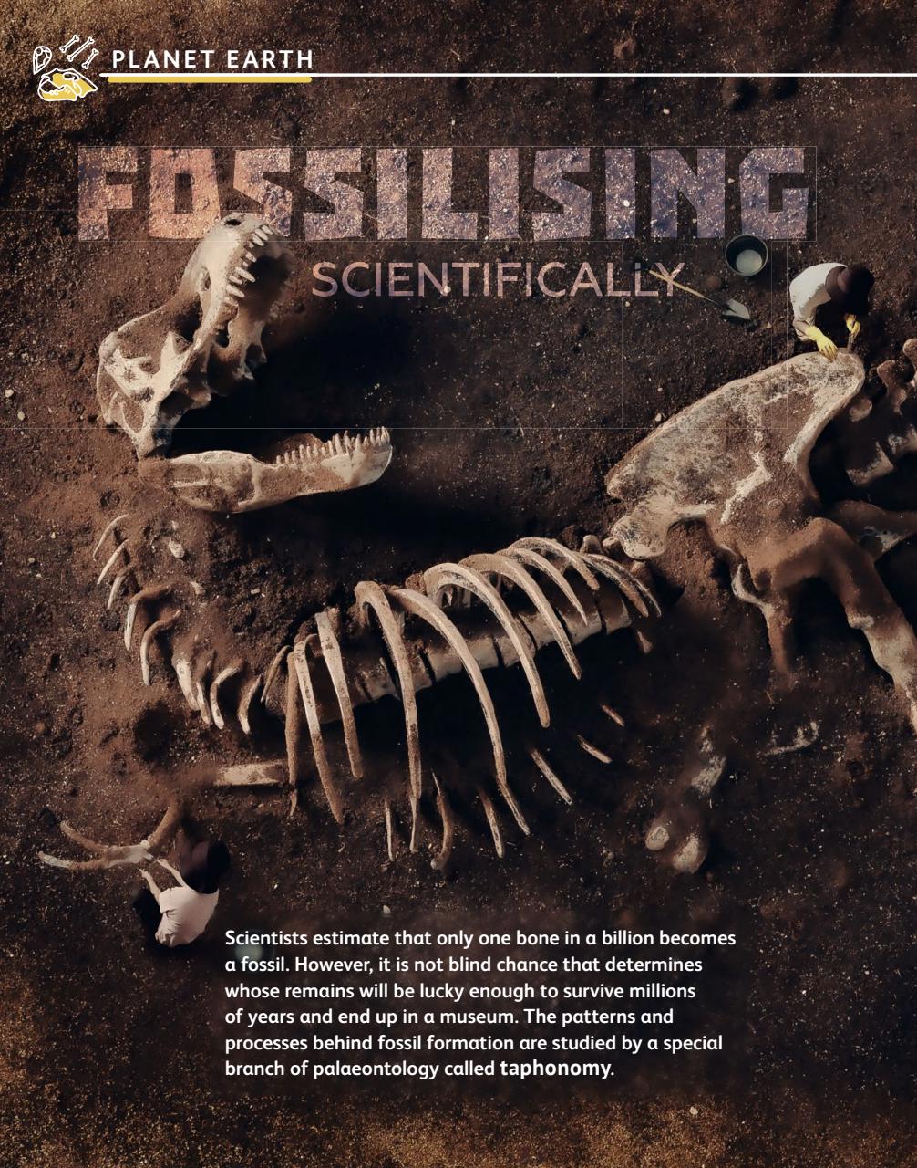 OYLA Magazine Preview Pages