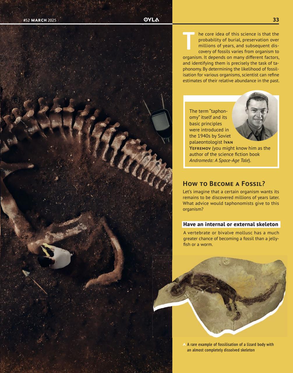 OYLA Magazine Preview Pages