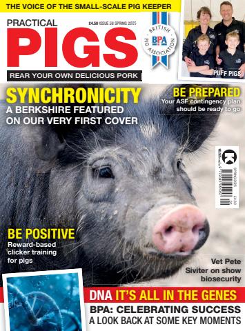 Practical Pigs issue Practical Pigs