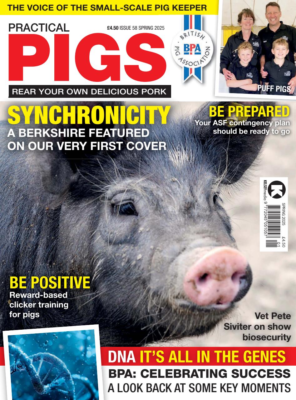 Practical Pigs Preview Pages