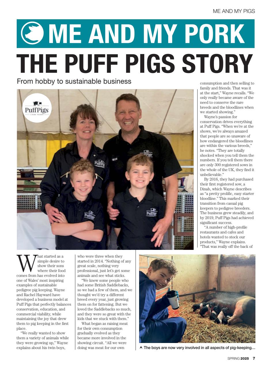 Practical Pigs Preview Pages