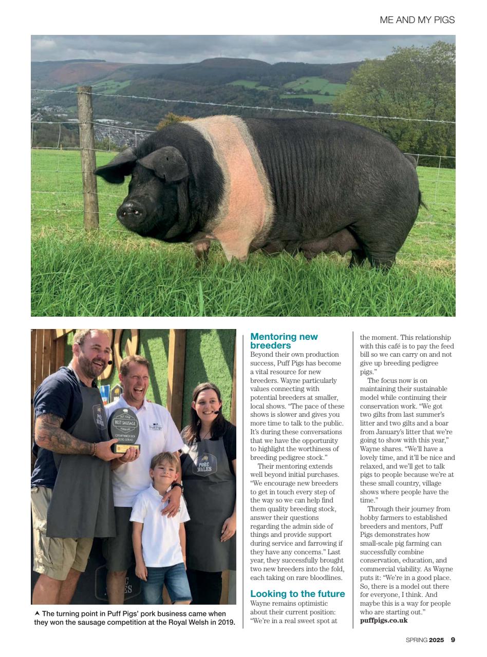 Practical Pigs Preview Pages