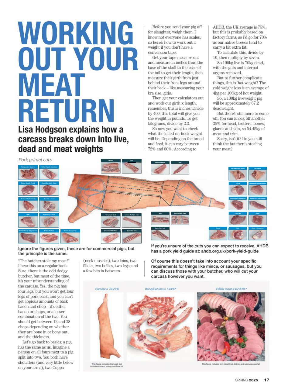 Practical Pigs Preview Pages