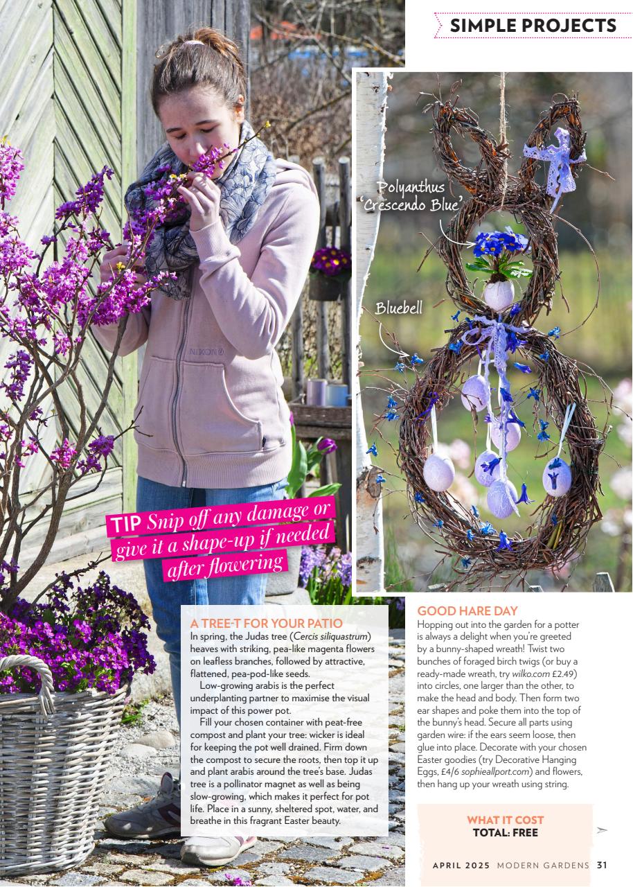 Modern Gardens Preview Pages