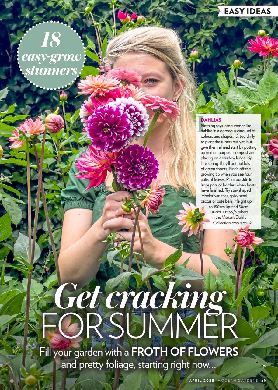 Modern Gardens Preview Pages