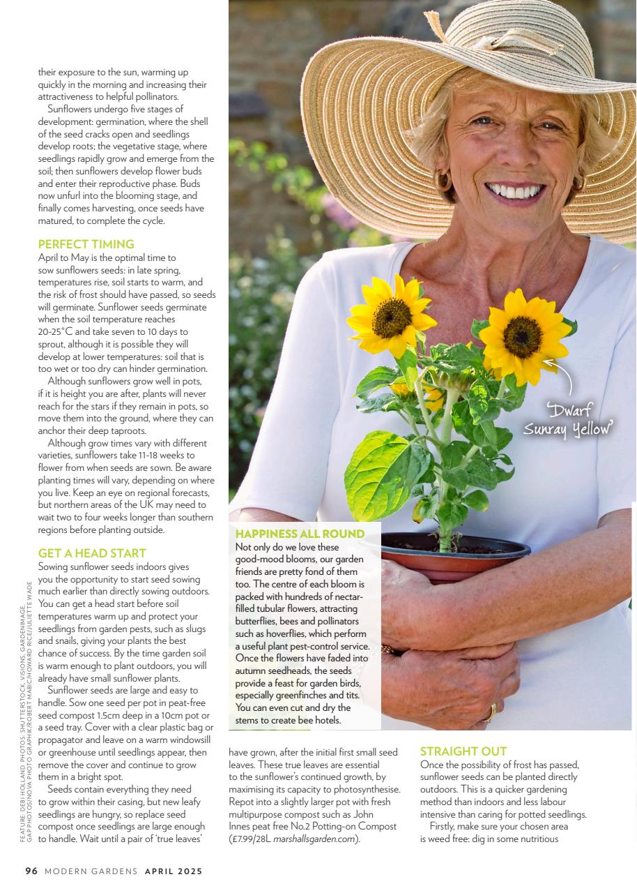 Modern Gardens Preview Pages