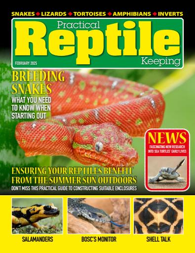Practical Reptile Keeping issue 
