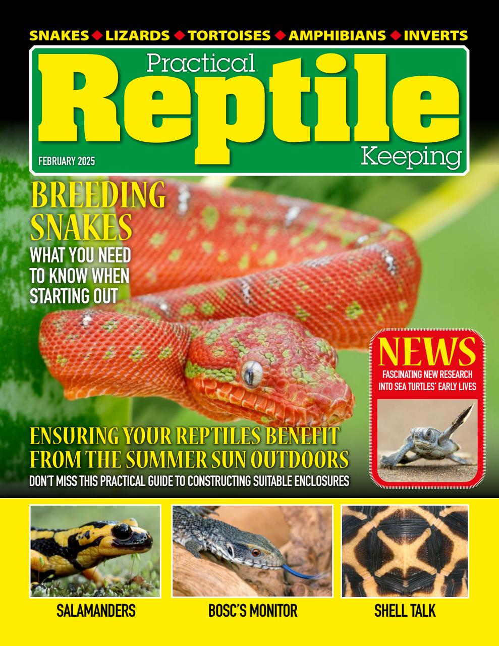 Practical Reptile Keeping Preview Pages