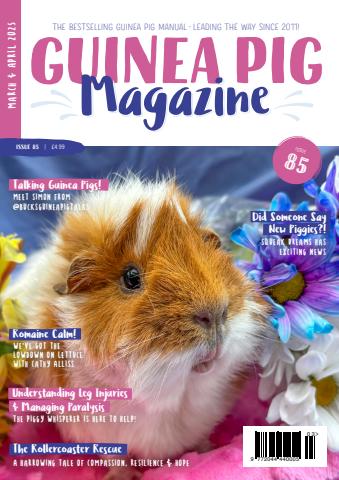 Guinea Pig Magazine issue Issue 85 (Mar/Apr)