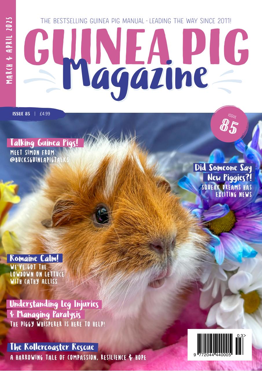 Guinea Pig Magazine Preview Pages