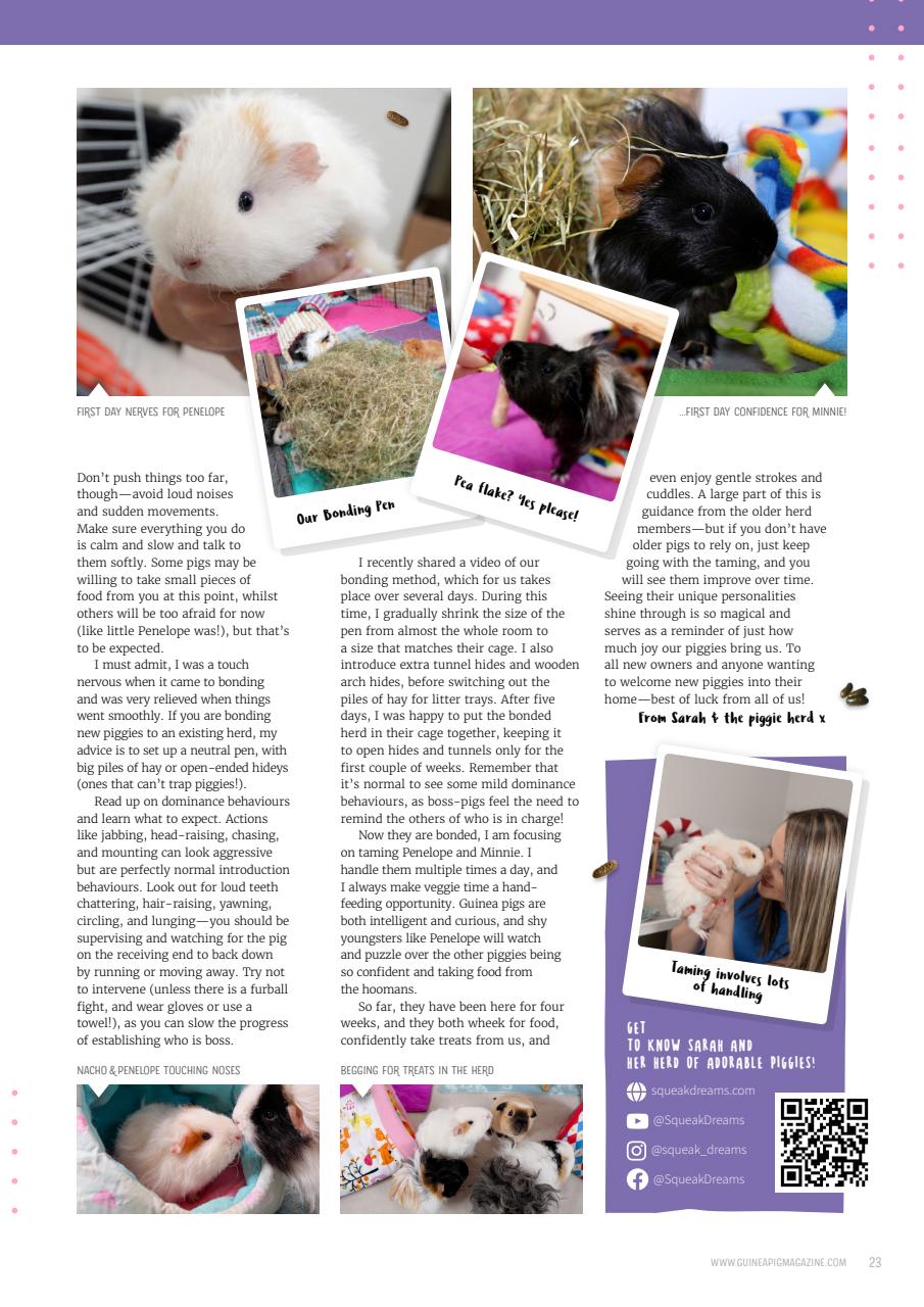 Guinea Pig Magazine Preview Pages