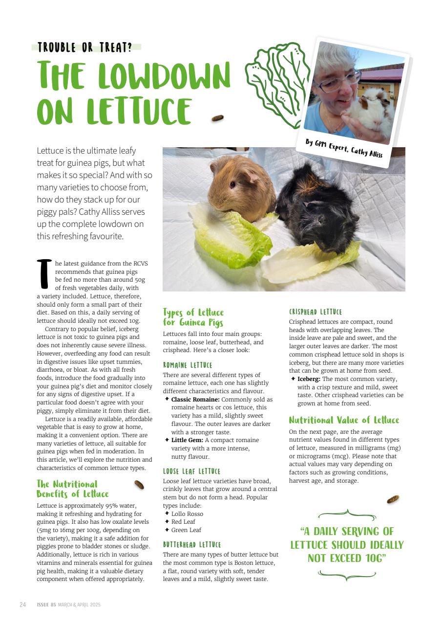 Guinea Pig Magazine Preview Pages