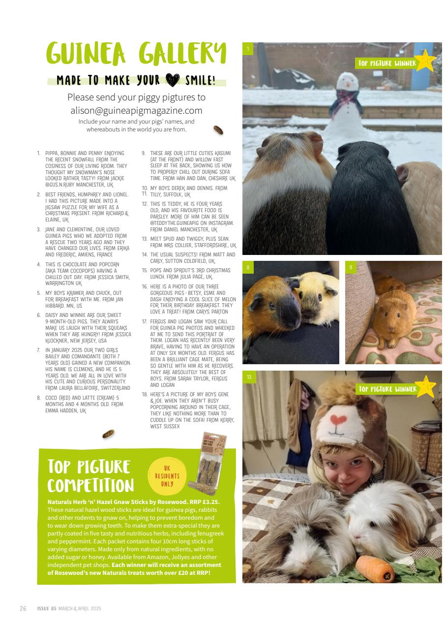 Guinea Pig Magazine Preview Pages