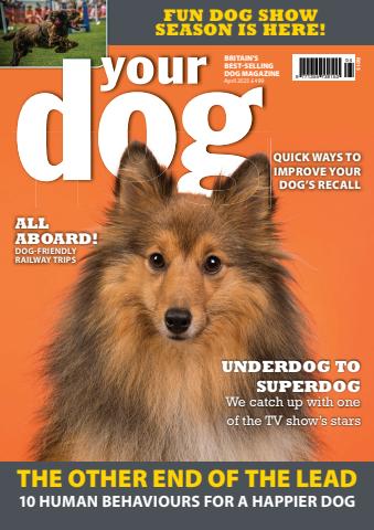 Your Dog issue April 2025