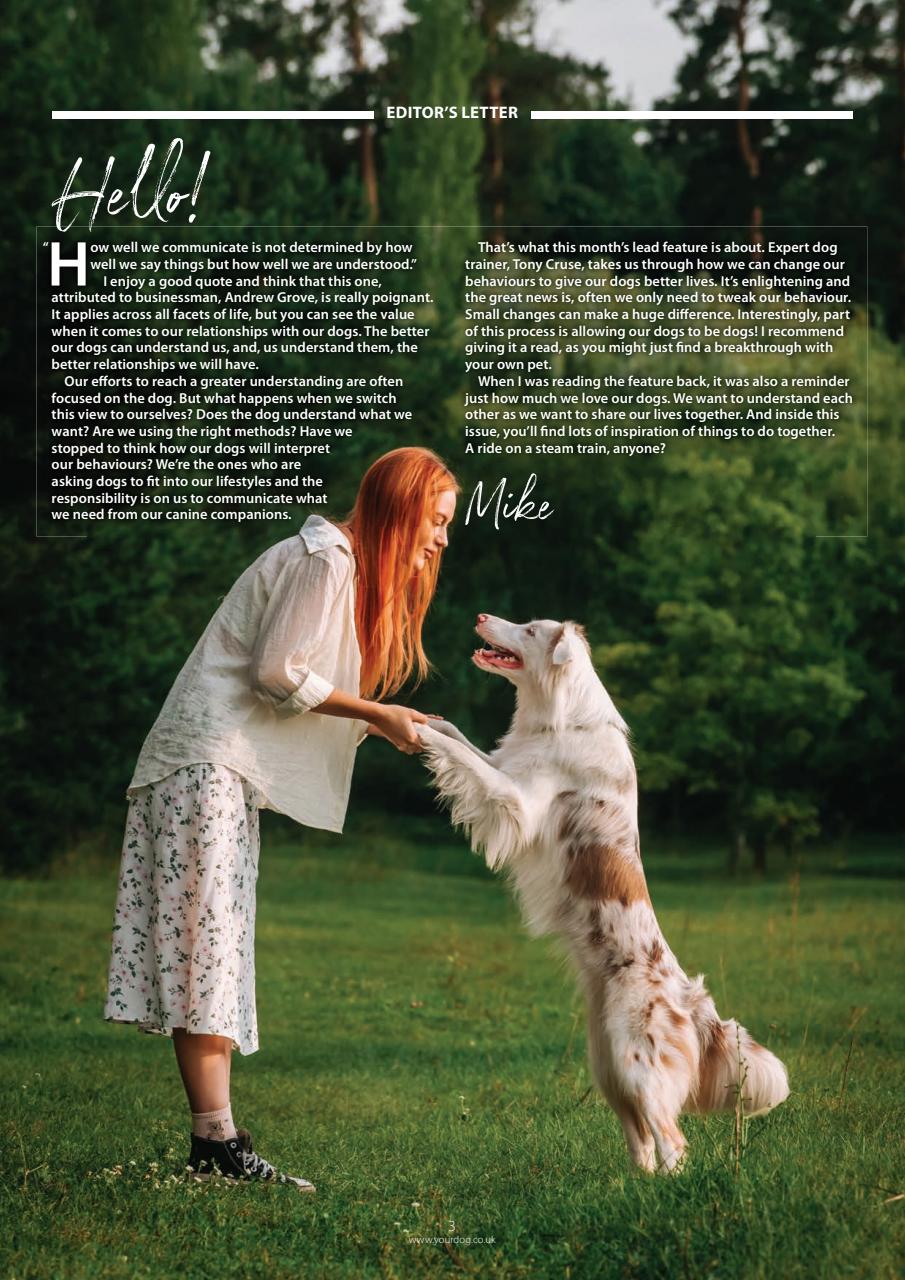 Your Dog Preview Pages