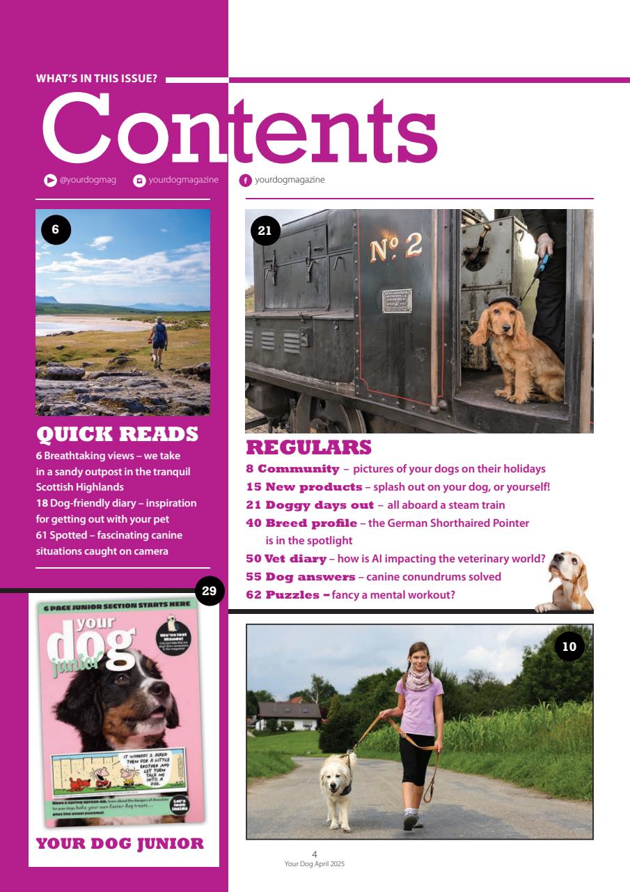 Your Dog Preview Pages
