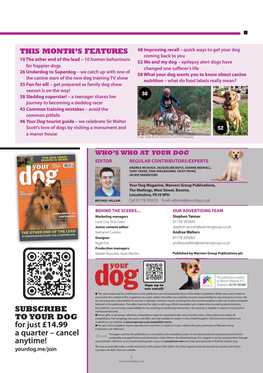 Your Dog Preview Pages
