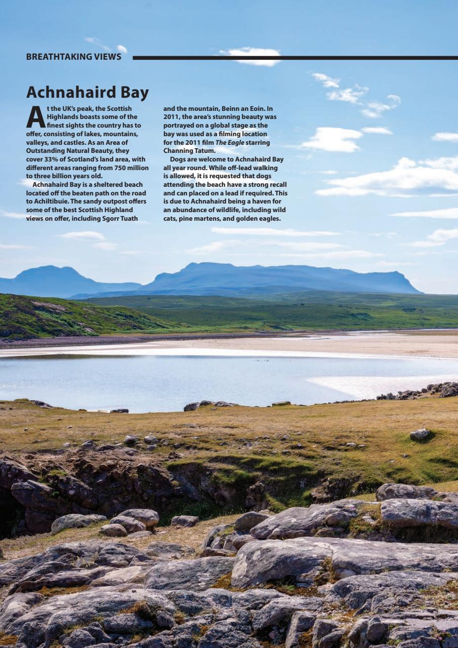 Your Dog Preview Pages