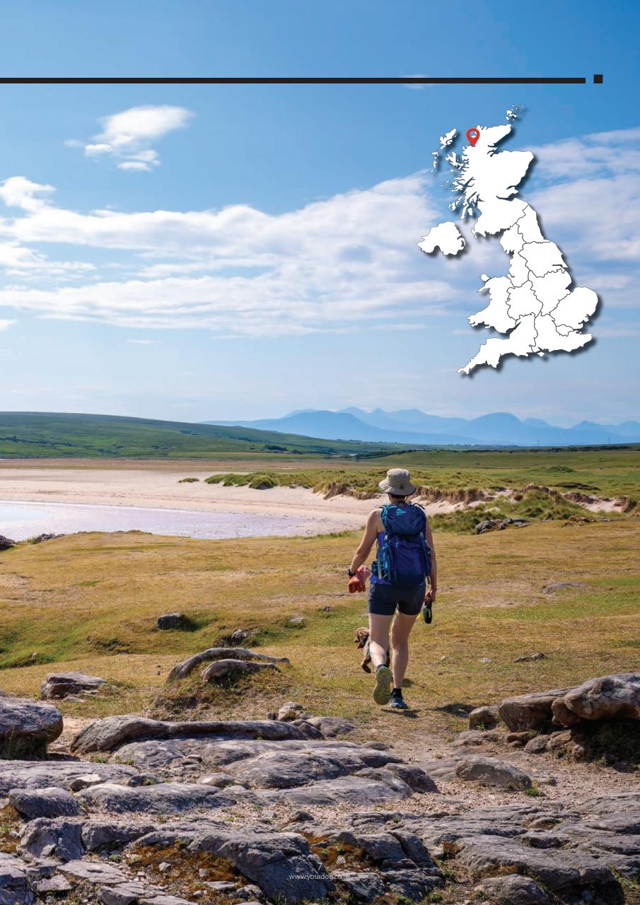 Your Dog Preview Pages