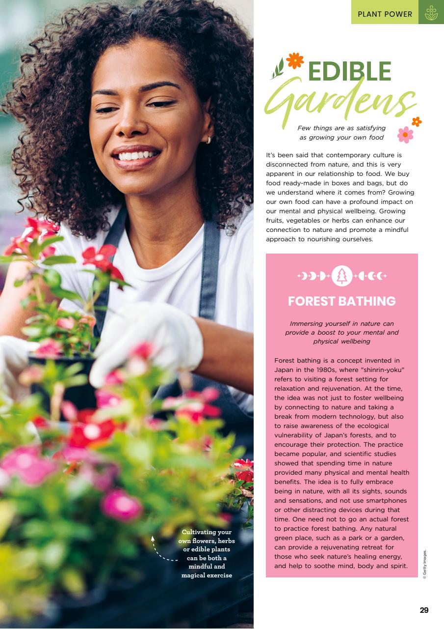 Lifestyle Bookazine Preview Pages
