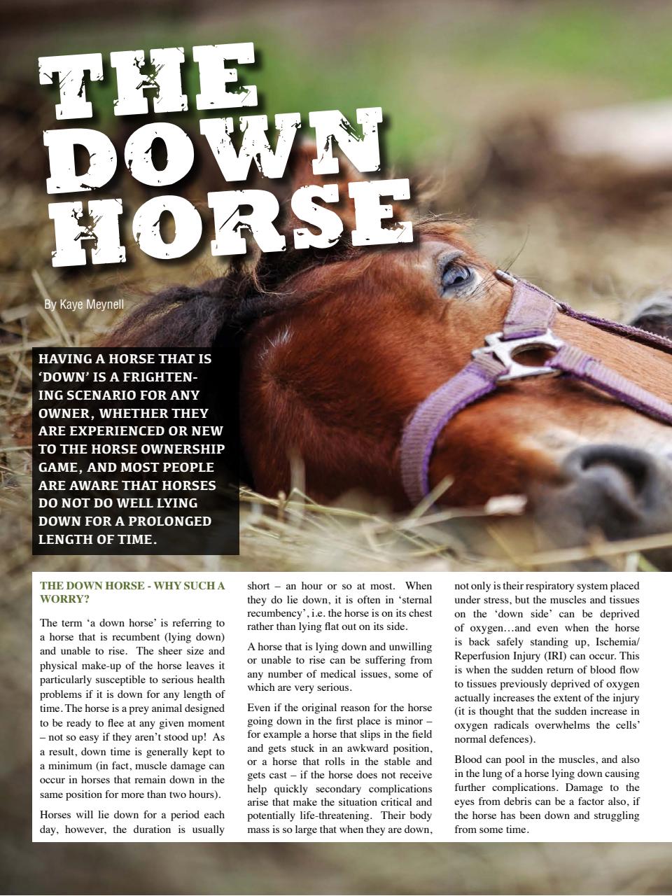 Hoofbeats Preview Pages