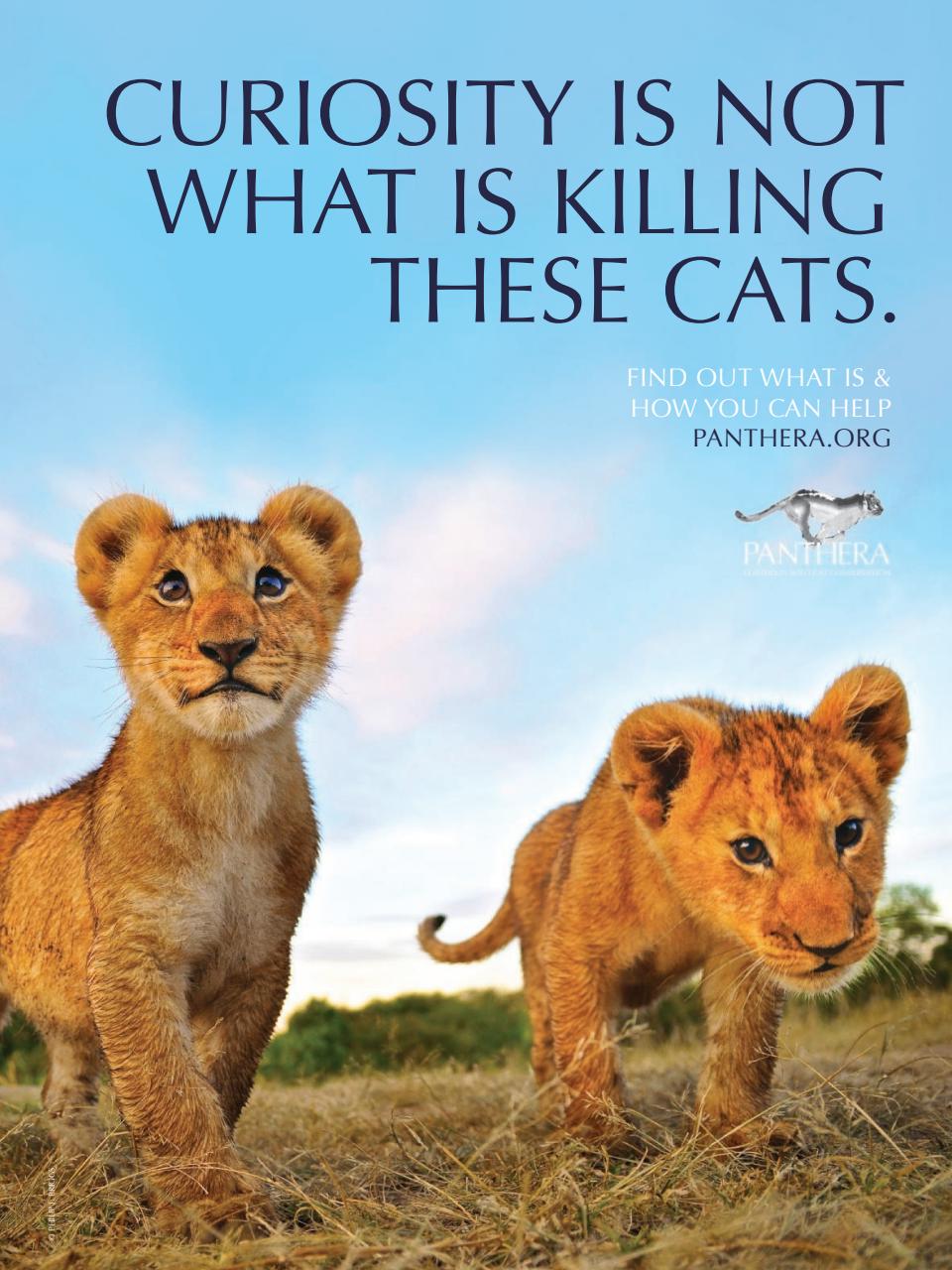 TIME Magazine Asia Preview Pages