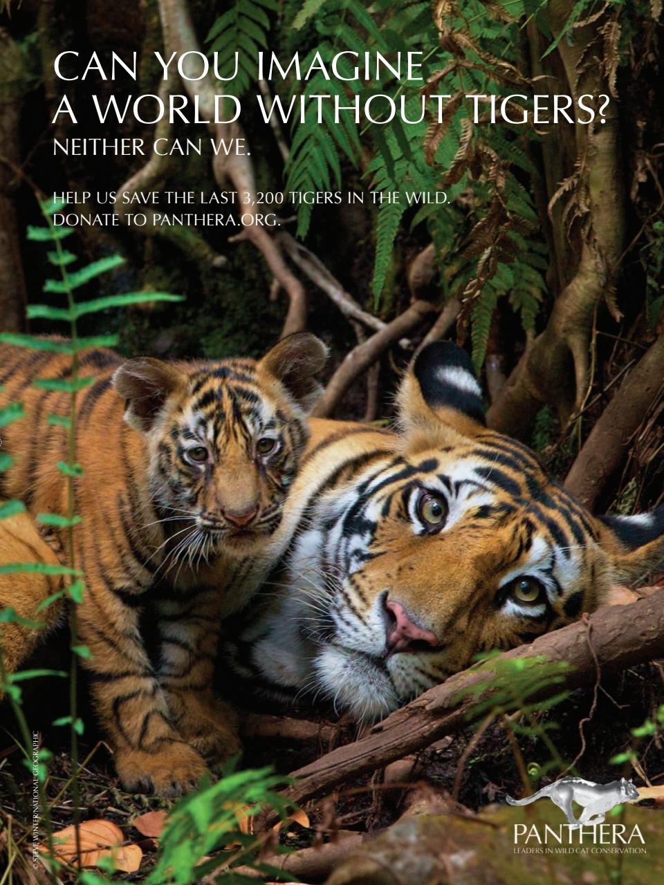 TIME Magazine Asia Preview Pages