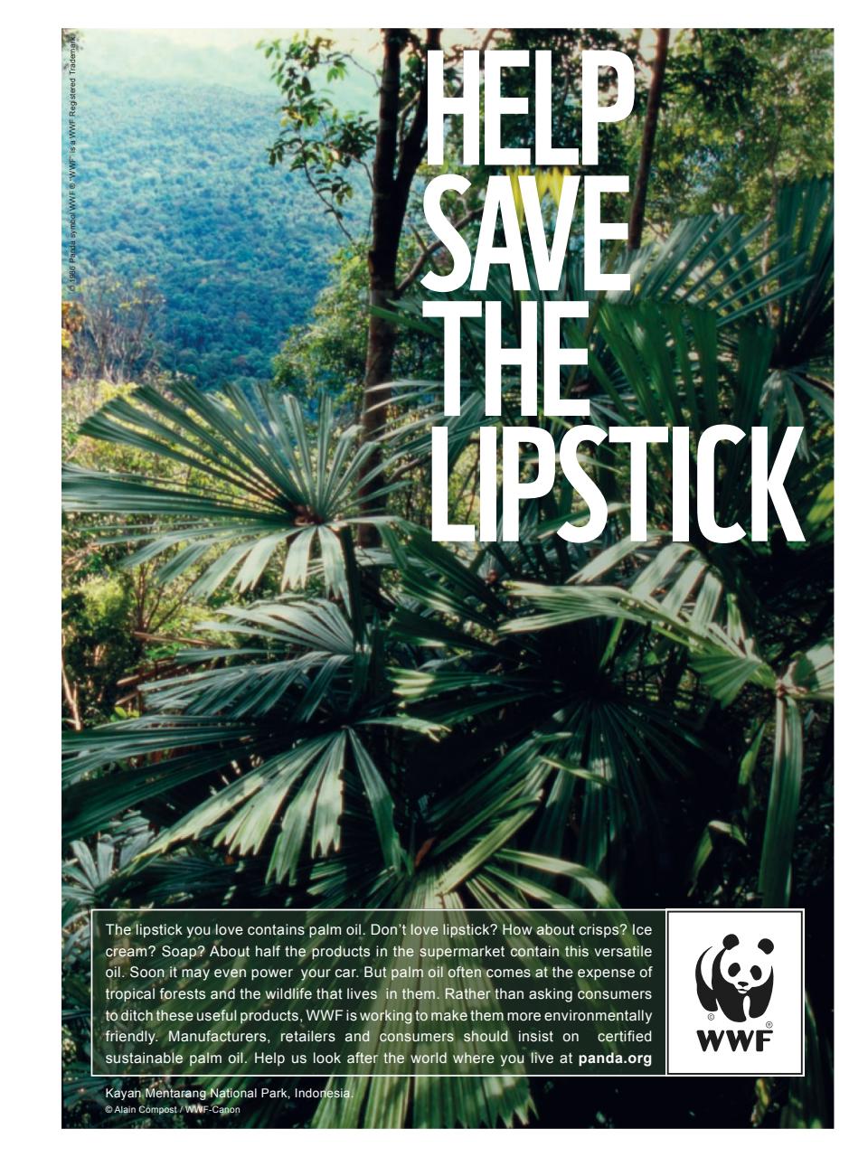 TIME Magazine Asia Preview Pages