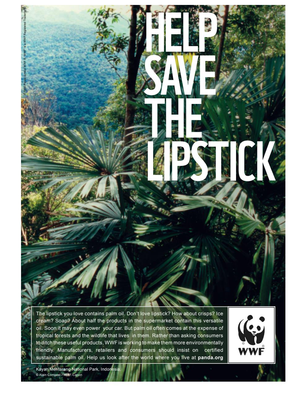 TIME Magazine Asia Preview Pages