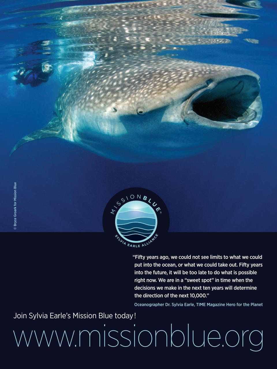 TIME Magazine Asia Preview Pages