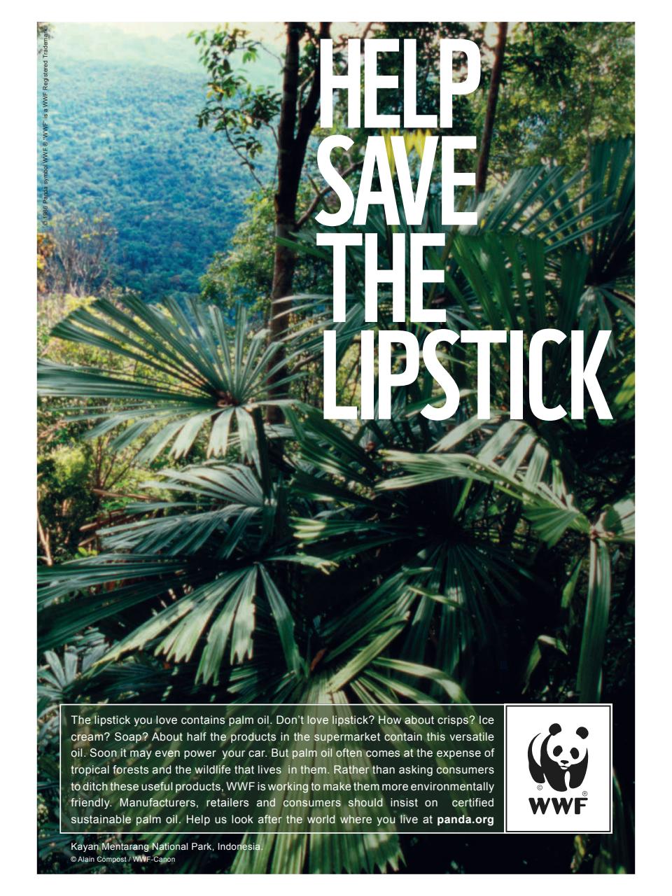 TIME Magazine Asia Preview Pages