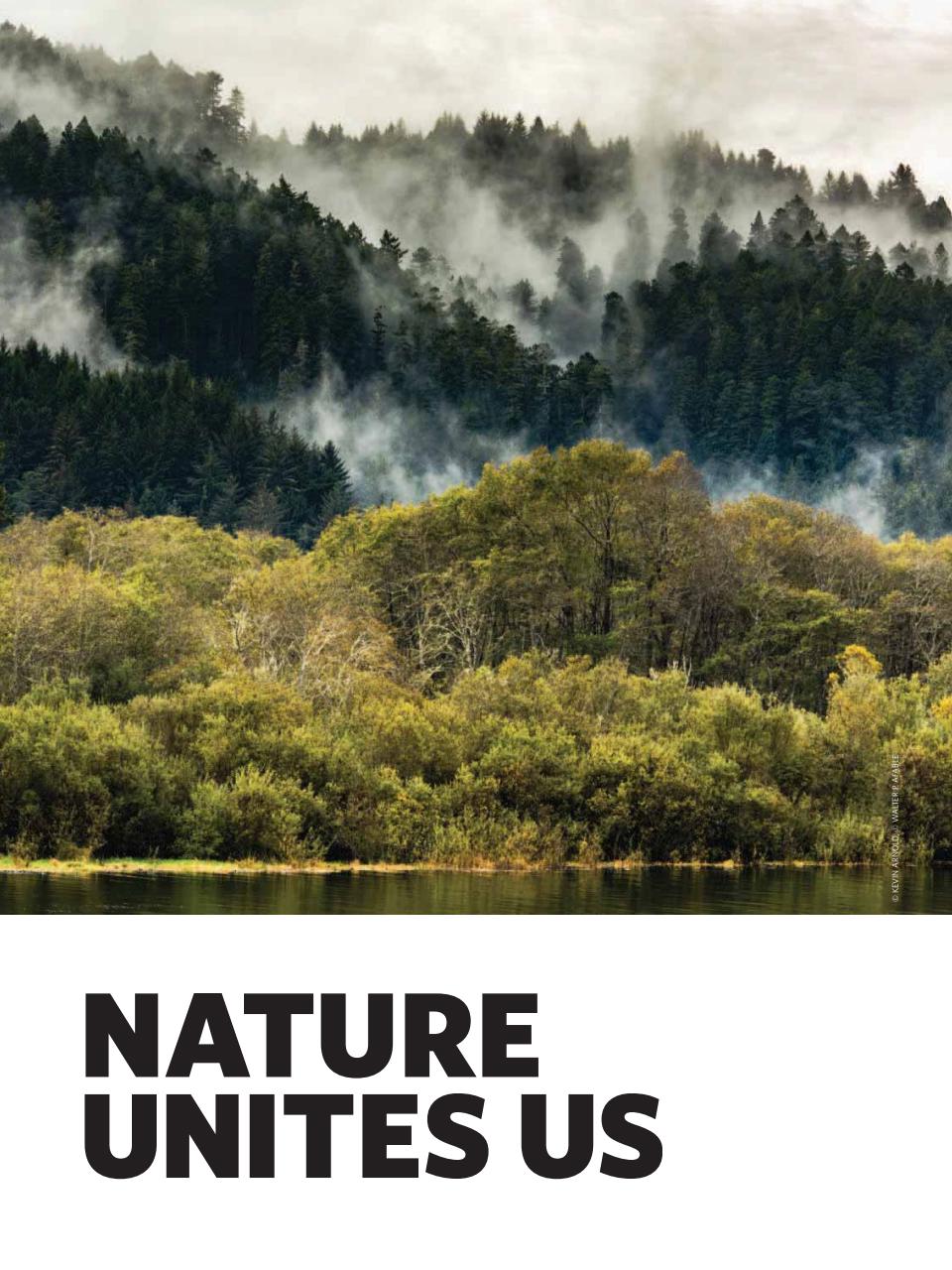 TIME Magazine Asia Preview Pages