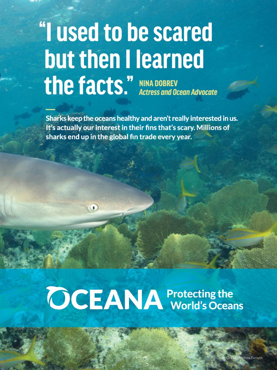 TIME Magazine Asia Preview Pages